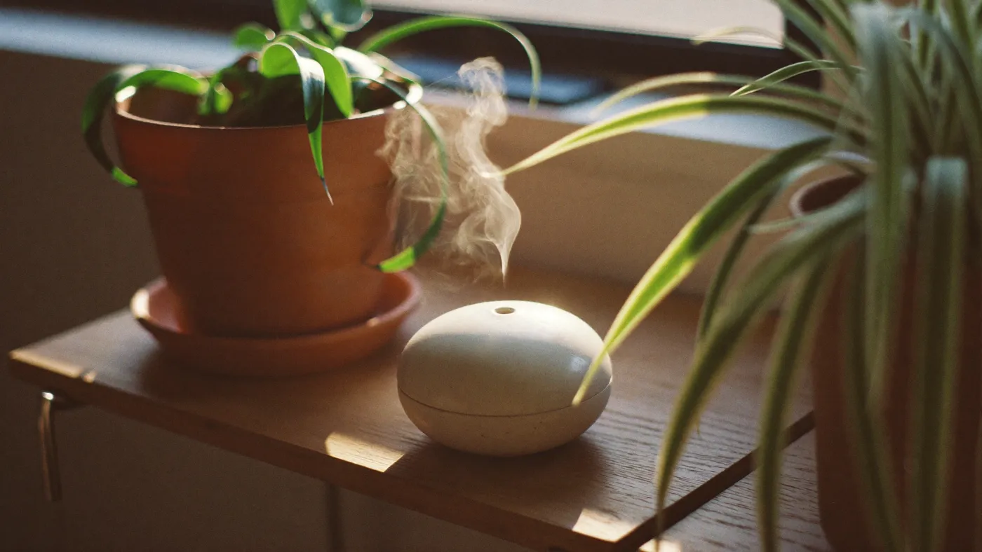 Small ceramic essential-oil diffuser releasing gentle mist on a wooden shelf among green plants, soft morning light