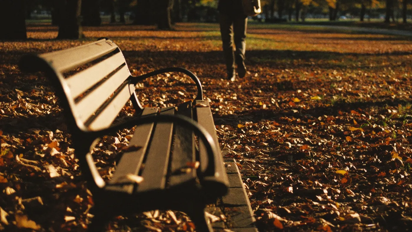 A park bench in long golden-hour shadows, one person walking toward it through fallen autumn leaves