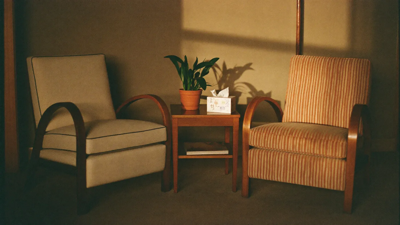 Two armchairs facing each other in a calm sunlit room with a plant and a box of tissues on a side table